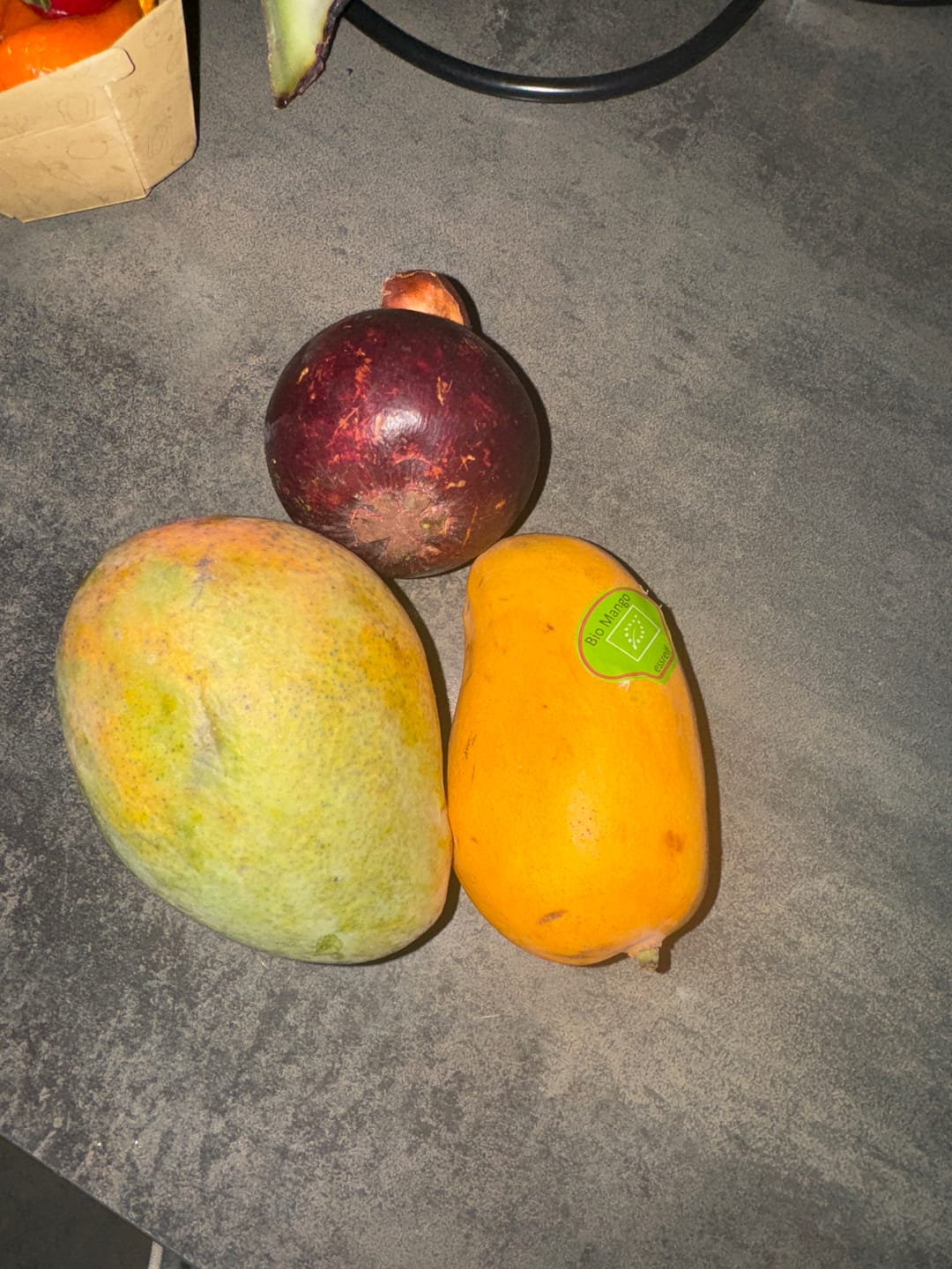Customer photo review of Mango "Edward" Bio Premium baumgereift