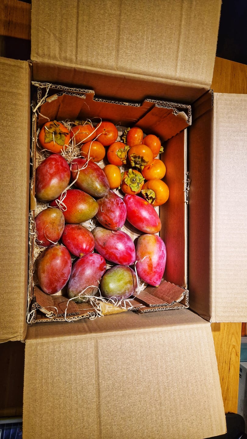 Customer photo review of Mini-Mango Osteen Bio Sonderpreis % 3kg