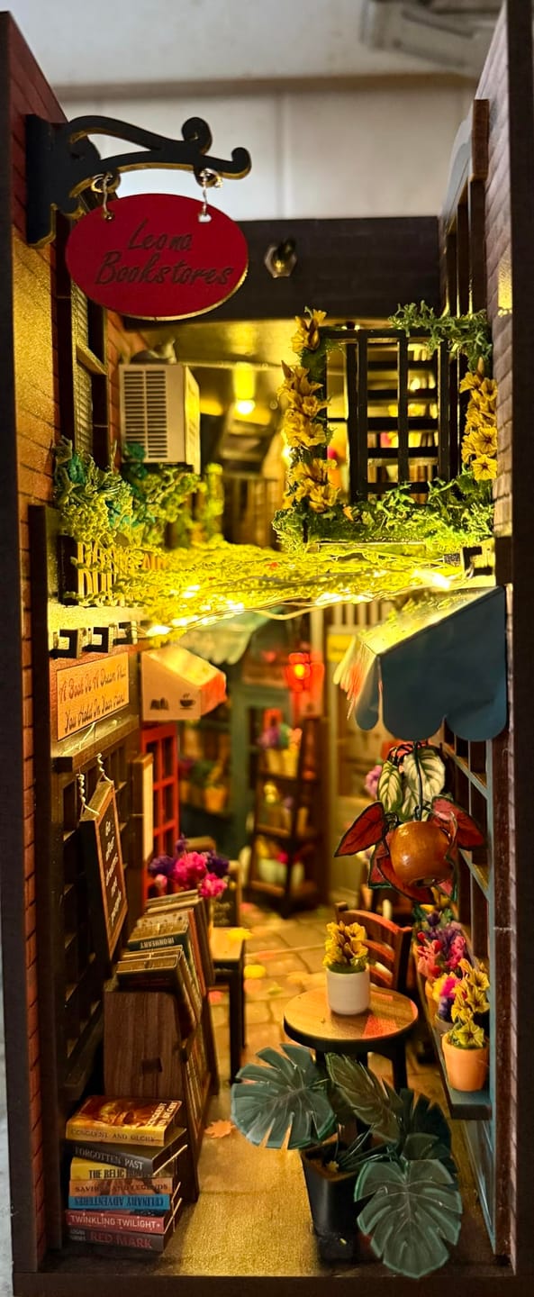 Customer photo review of Dreamy MiniAlley