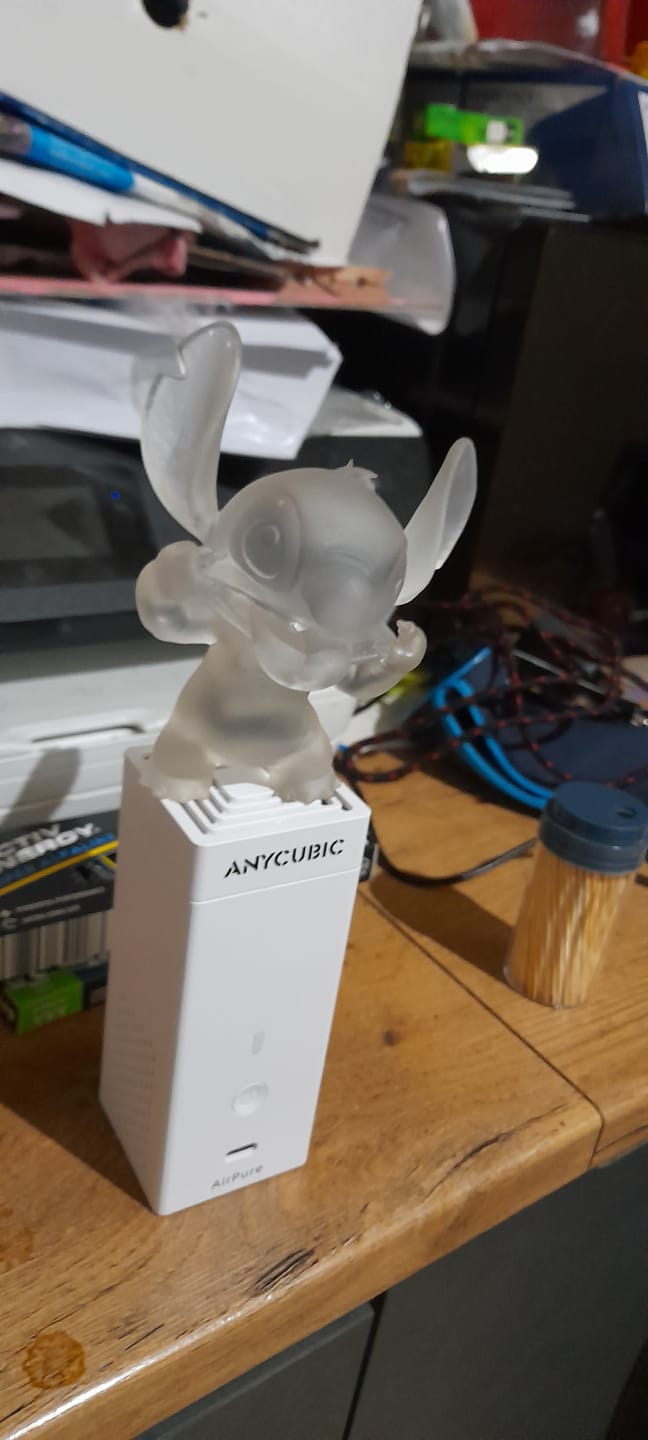 Customer photo review of Standard Resin