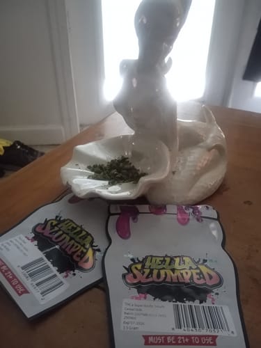 Customer photo review of Shipping Protection by Route