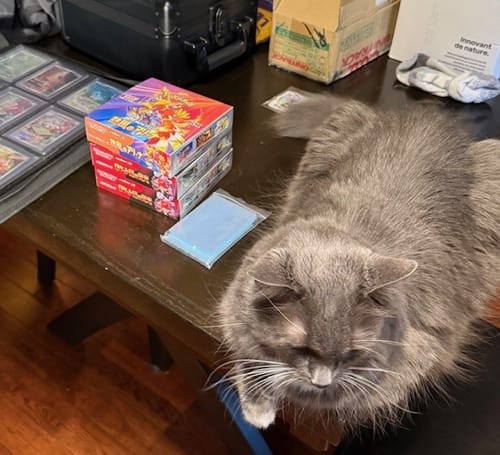 Customer photo review of Pokemon Heat Wave Arena Booster Box sv9a