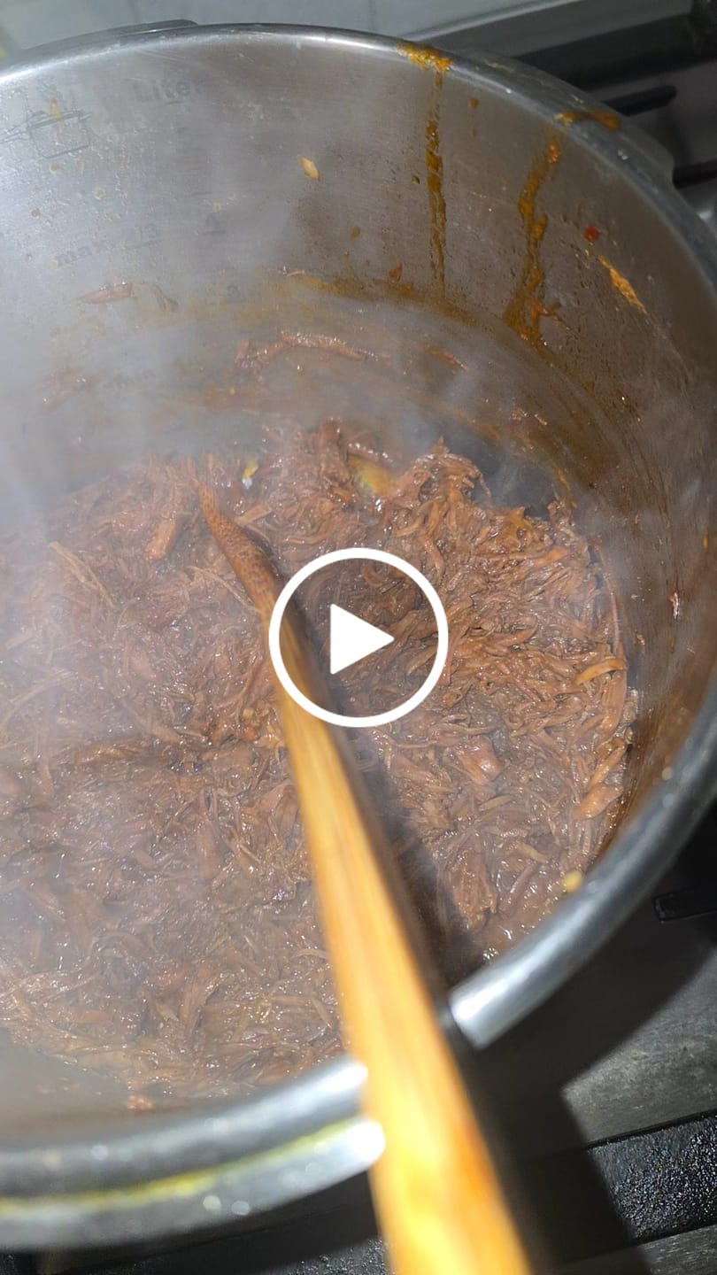 Customer video review of Birria Bomb