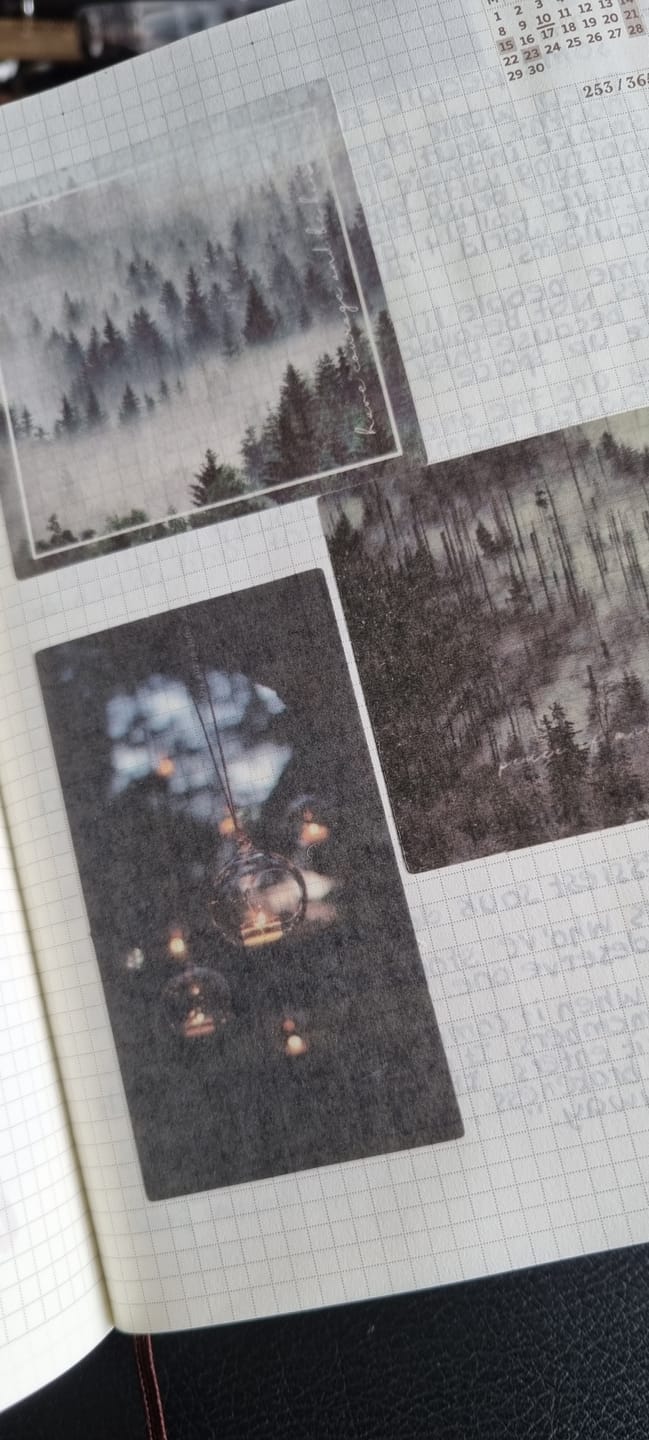 Customer photo review of Moody Photo - Washi Stickers