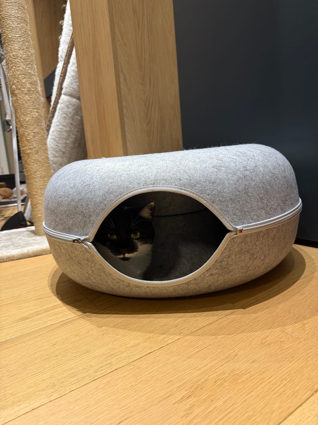 Customer photo review of Tunel Krevet za Mačke