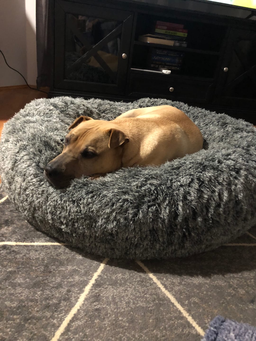 Customer photo review of Premium Calming Pet Bed with Removable Cover