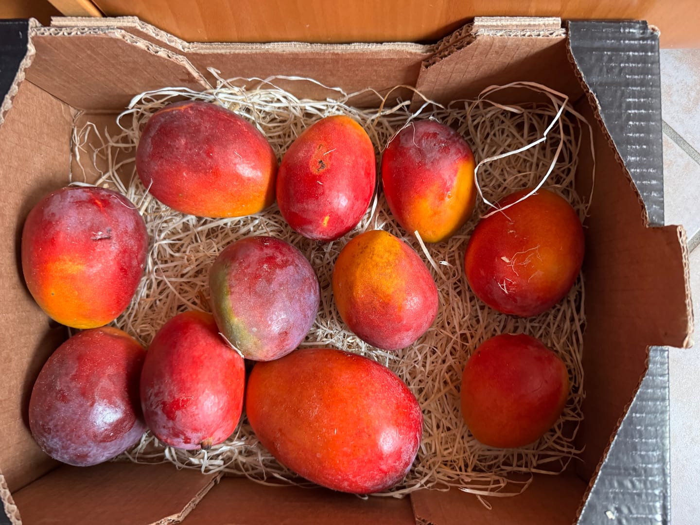 Customer photo review of Mango Irwin Edelsorte Bio Aktionspreis %