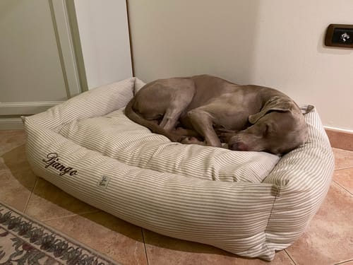 Customer photo review of Divanetto Cotone Righe Beige