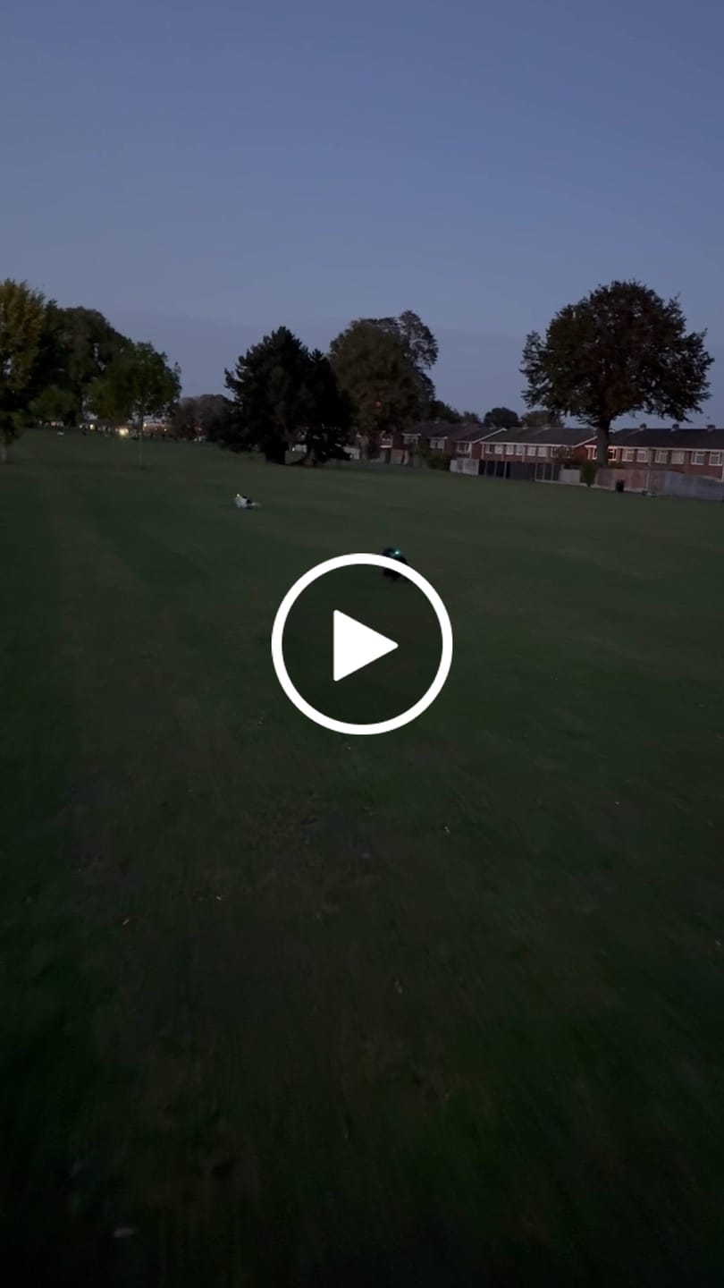Customer video review of TrekBright® Dog Safety Light