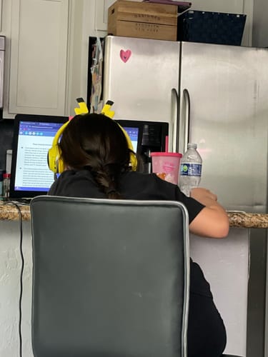 Customer photo review of Third Grade Curriculum