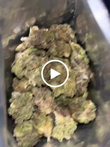 Customer video review of THCa Greenhouse Smalls