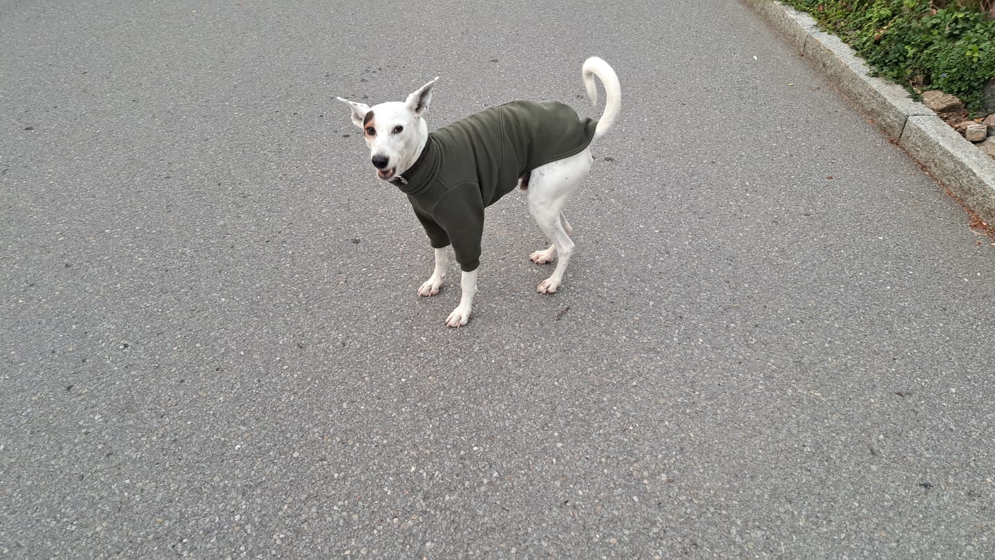 Customer photo review of Aspen "Mountain Green"