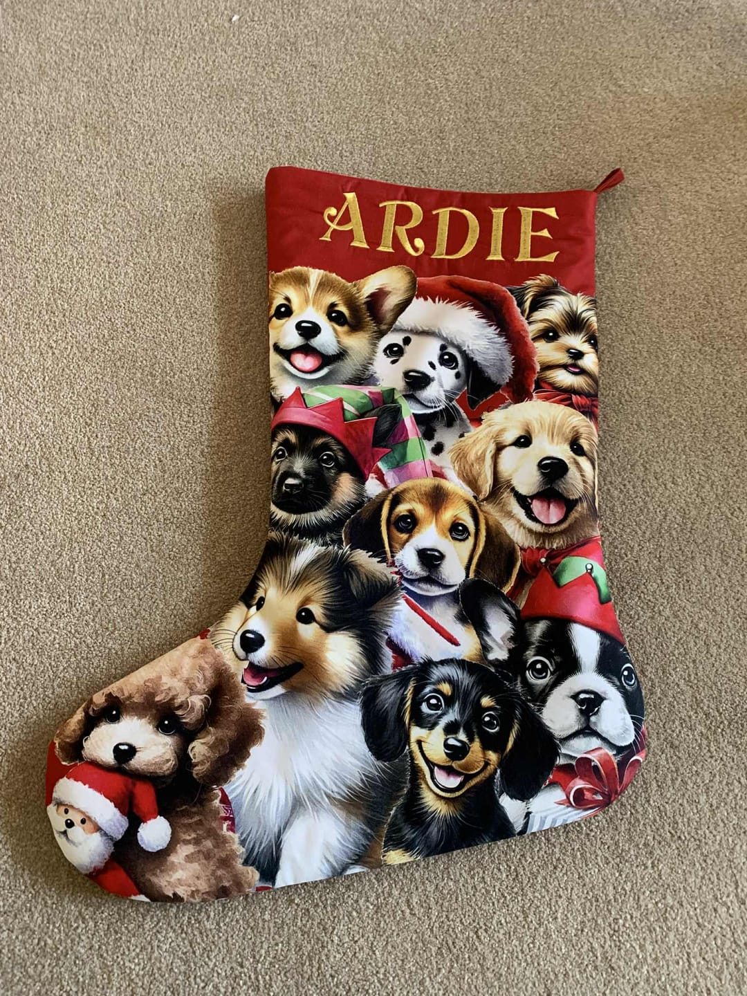 Customer photo review of Santa Paws Puppy Stocking