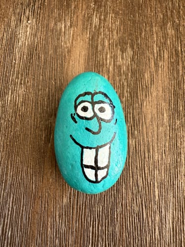 Customer photo review of Starterspakket Happy Stones + App om ze te volgen | Alles-in-1 | Stenen schilderen