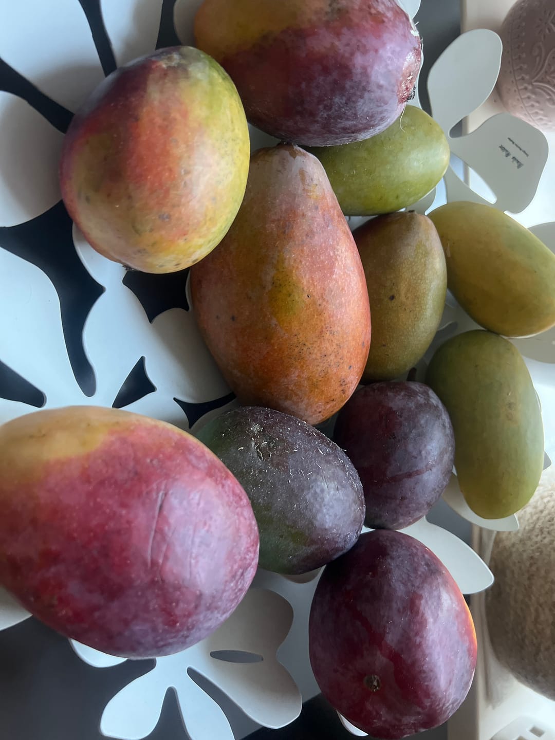 Customer photo review of Mango Honig „Ataulfo“ Bio von Julian