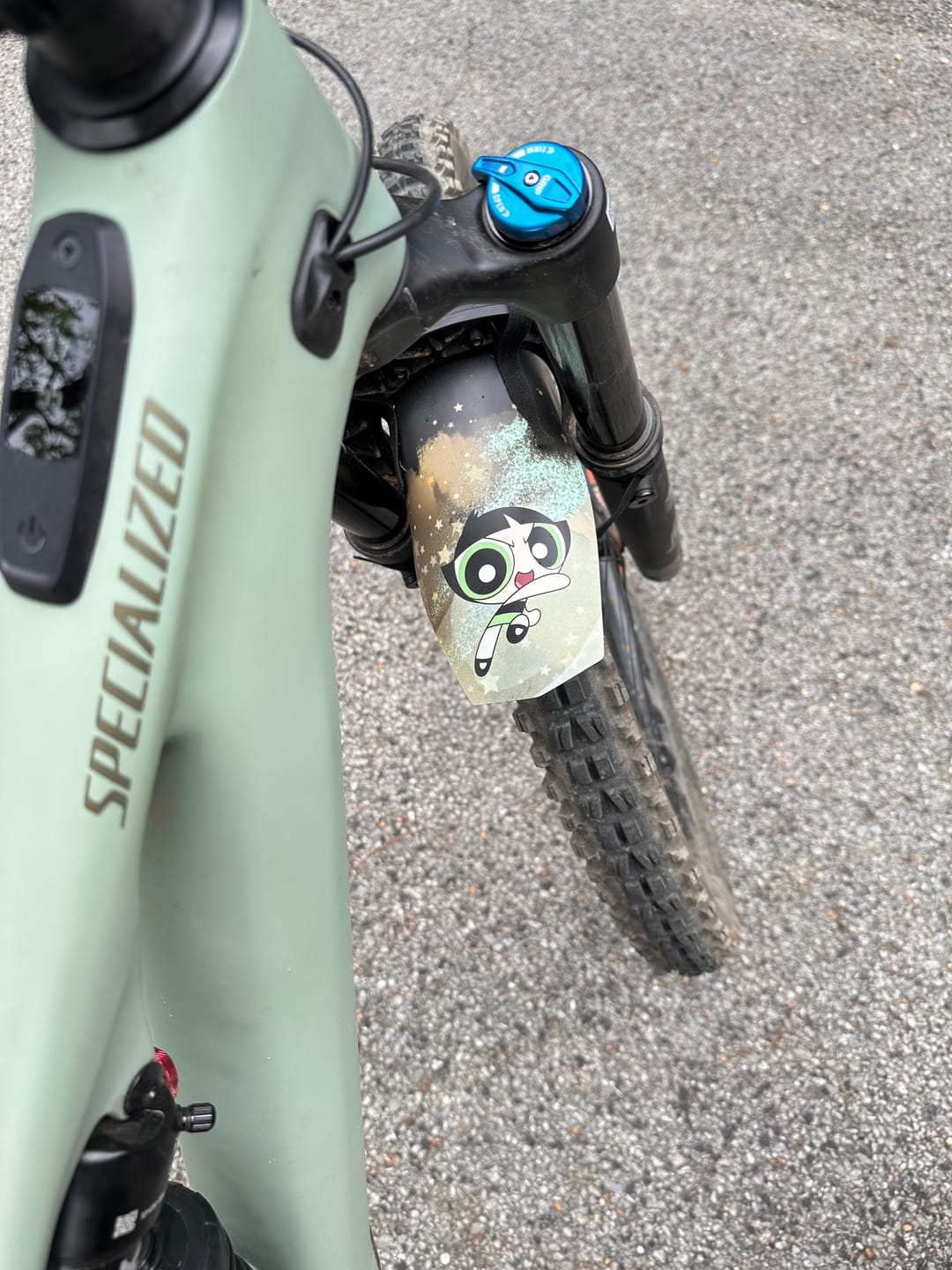 Customer photo review of Custom Fender