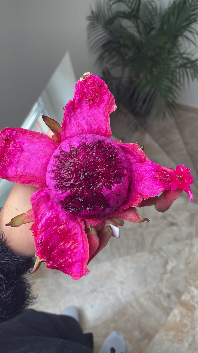 Customer photo review of Drachenfrucht rot Bio von Julian Aktionswoche %