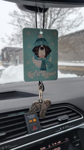 Customer photo review of Let It Snow Car Air Freshener