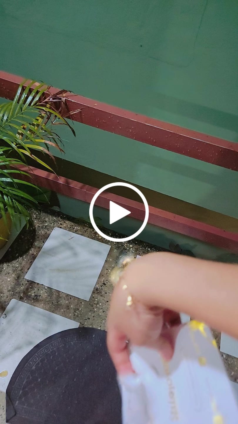 Customer video review of Pulsera Princesas Disney
