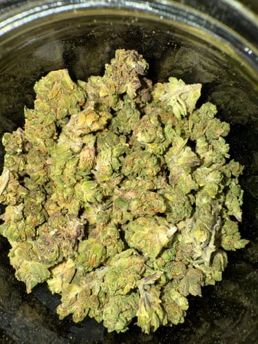 Customer photo review of Lemon Fire (smalls)