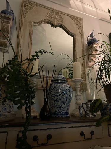 Customer photo review of Portobello Oud 200ml Room Diffuser Refill