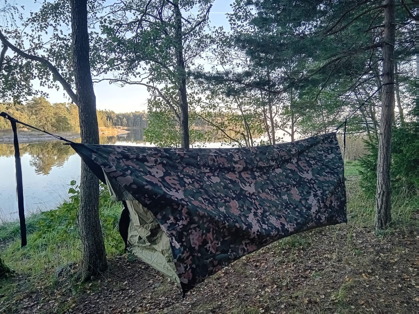 Customer photo review of Haven Safari