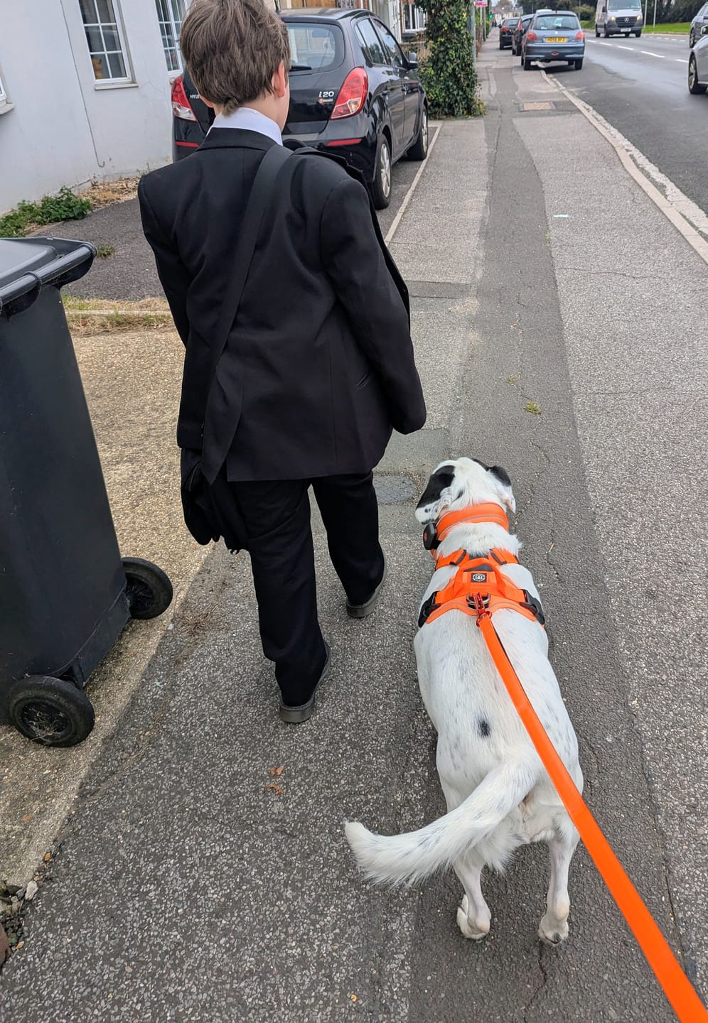 Customer photo review of Anti Pull Hurricane Harness - With Handle - Orange