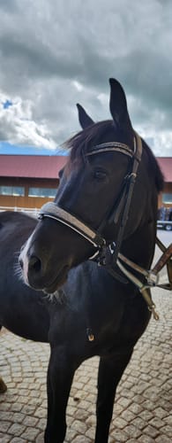 Customer photo review of Trense White Dust WB