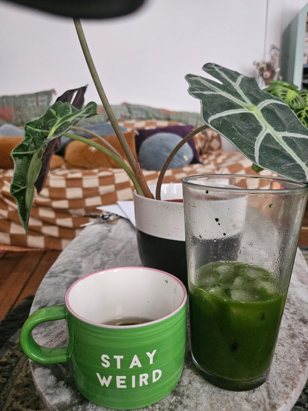 Customer photo review of Yumeno | Matcha IMPERIAL Millésimé