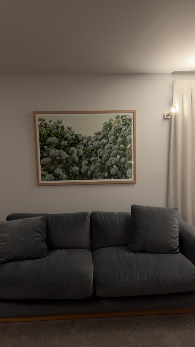 Customer photo review of Sage Hydrangea Landscape