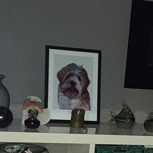 Customer photo review of Realistisch Portret