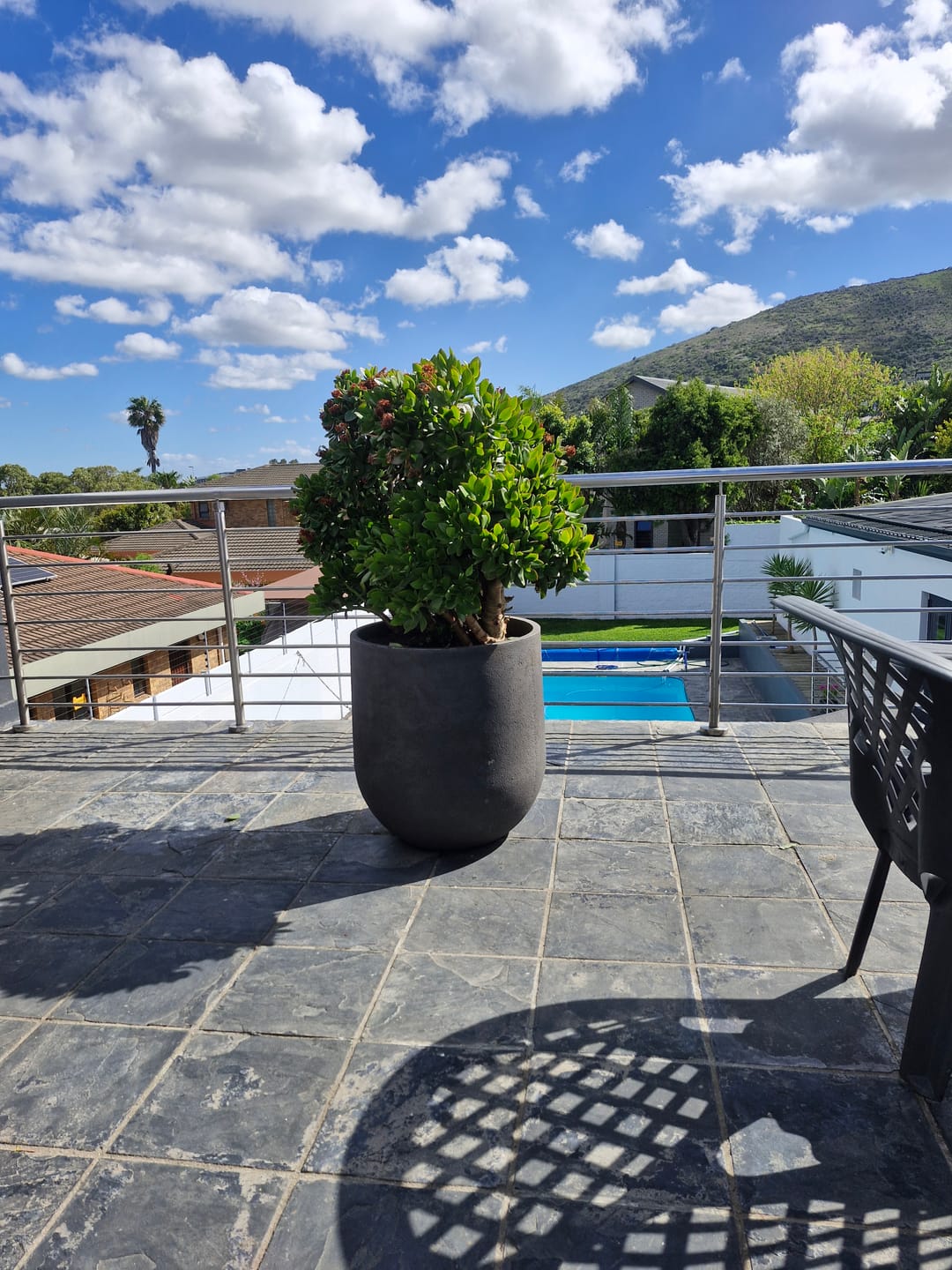 Customer photo review of Rustic Cask Japi Planter (click for details)