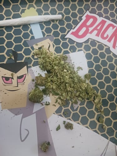 Customer photo review of Lemon Cherry Gelato Runtz - 28 Grams Littles - Indica