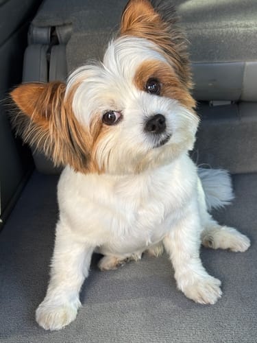 Customer photo review of DA-1™ Daily All-in-One Complete Care