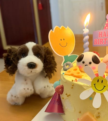 Customer photo review of Springer Spaniel Plush Keychain Dog Bag Charm