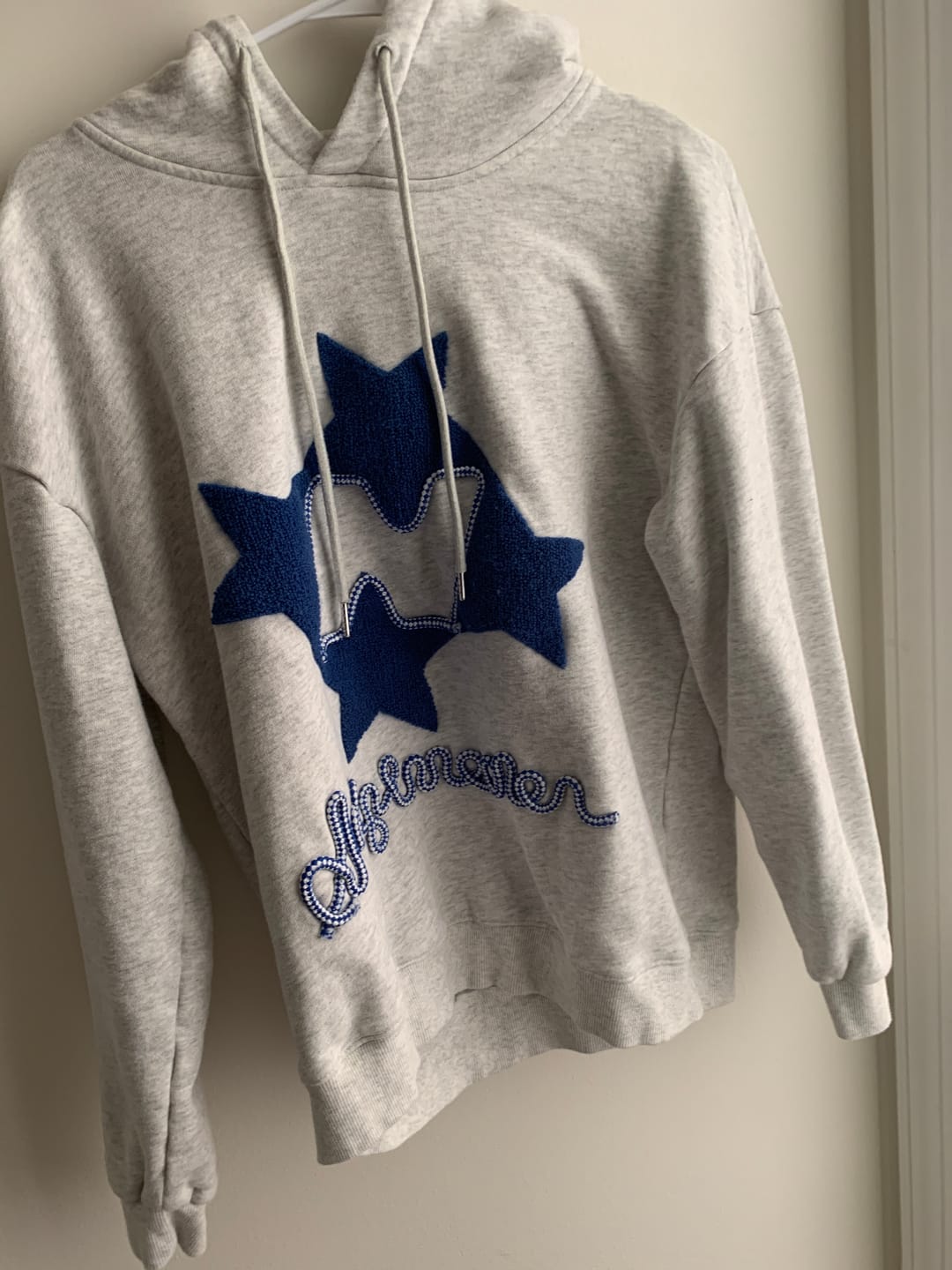 Customer photo review of Aelfric Eden Stellaris Embroidered Hoodie