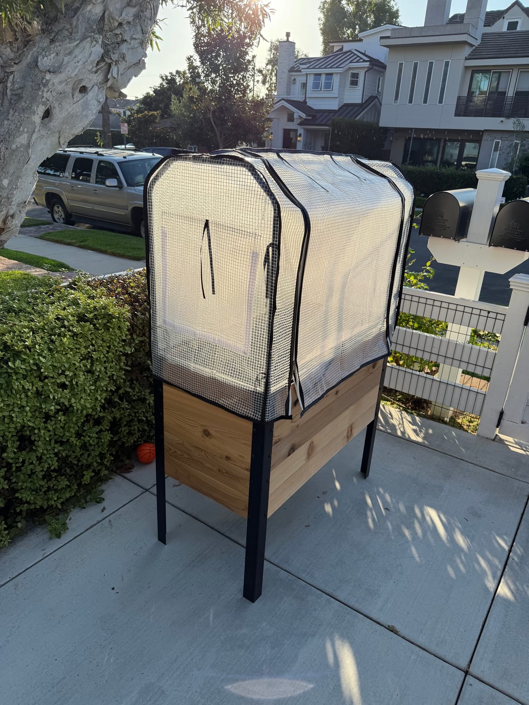 Customer photo review of Greenhouse Cover