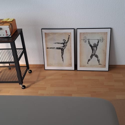 Customer photo review of Gewichtheben Anatomie Poster