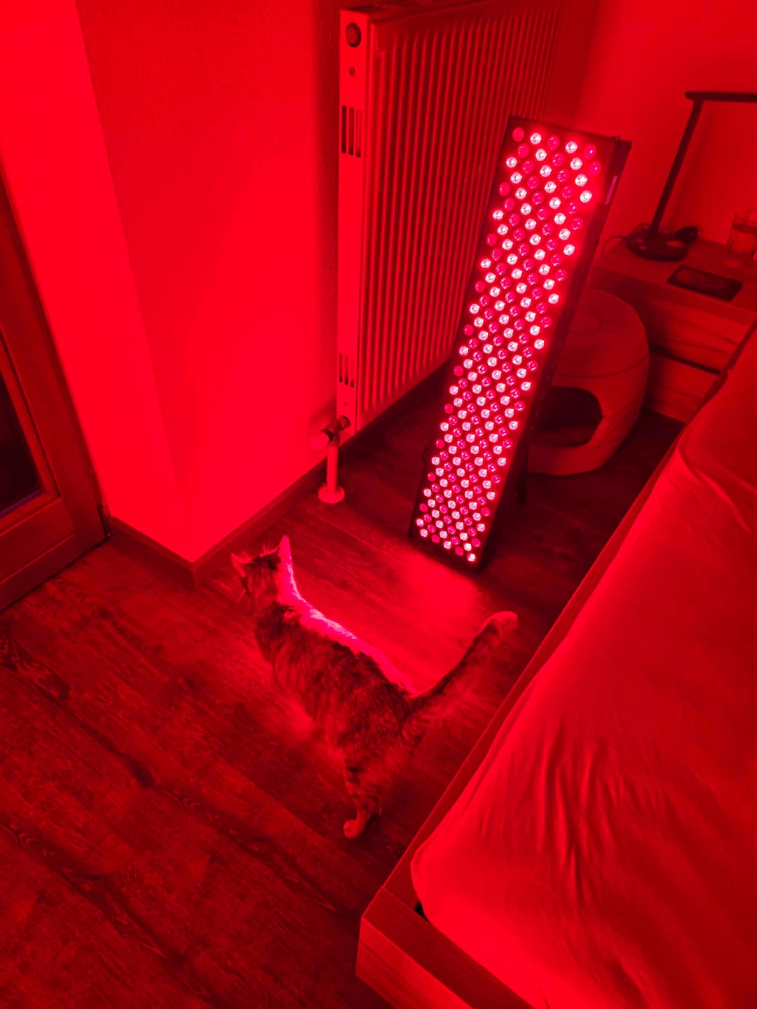 Customer photo review of Koanna® Luma1000™ – Powerful, Mid-Size Red Light Therapy Panel