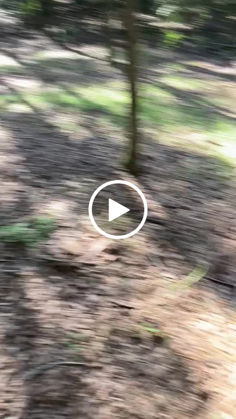 Customer video review of Kill Plot