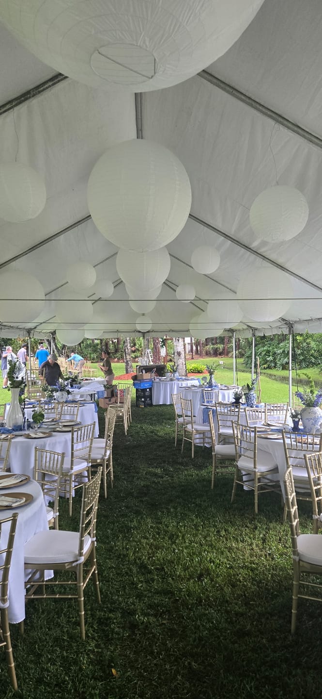 Customer photo review of 16 Inch White Round Paper Lantern, Parallel Ribbing, Chinese Hanging Wedding & Party Decoration