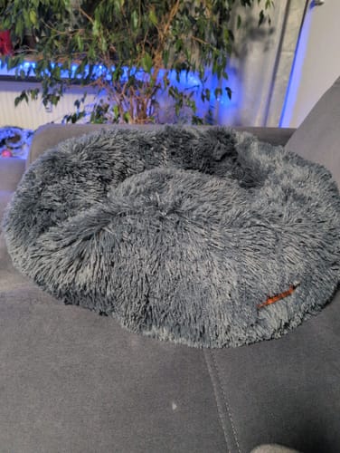 Customer photo review of Puppery Hundebett Wolke 7 - Das Original