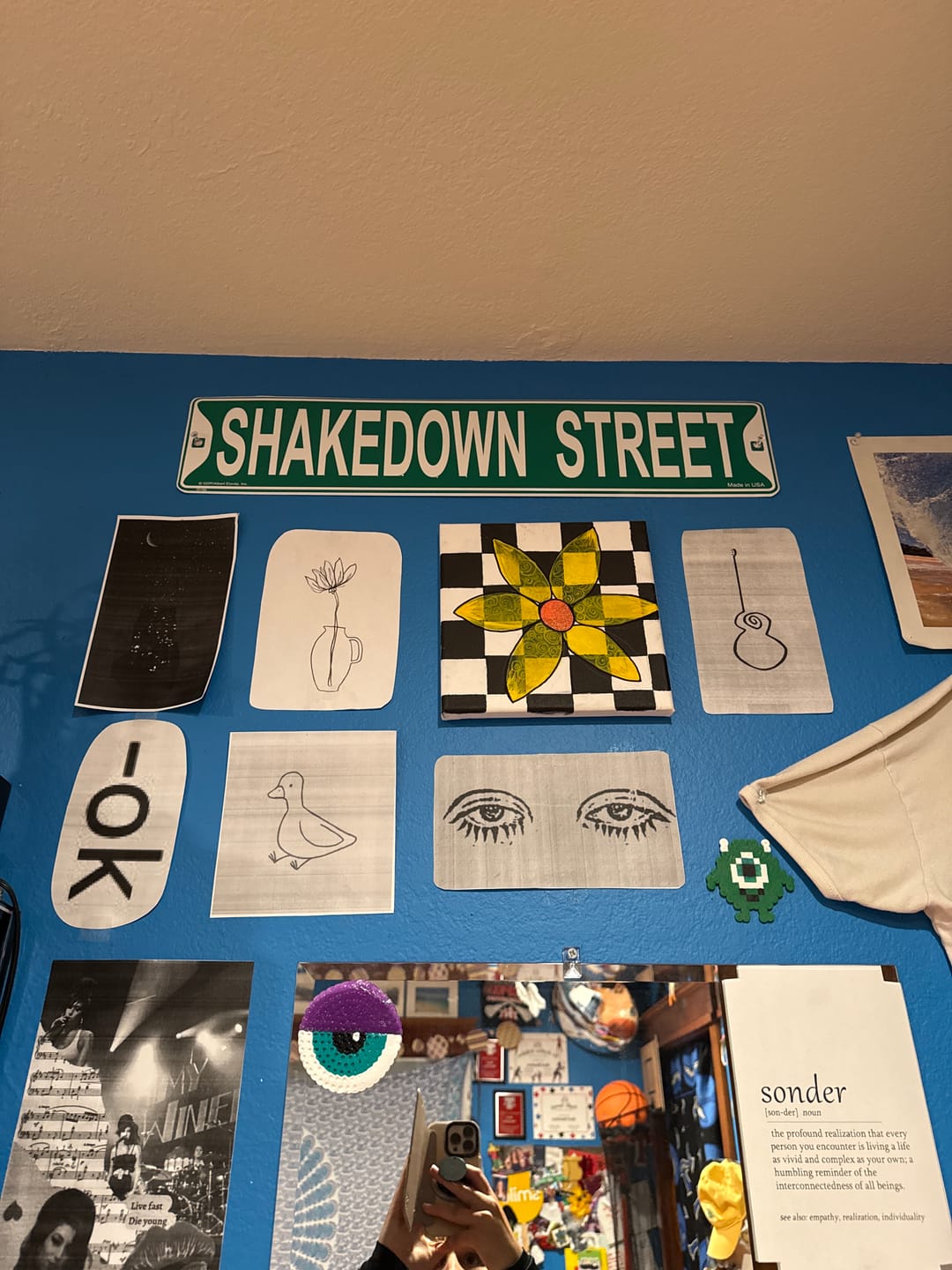 Customer photo review of Grateful Dead Shakedown Street Sign