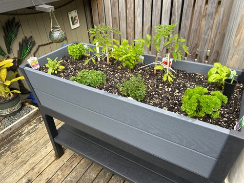 Customer photo review of Darwin Raised Garden Bed