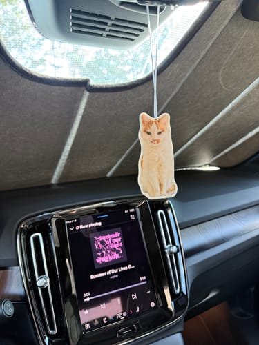 Customer photo review of Custom Air Freshener