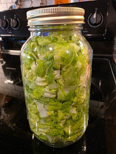 Customer photo review of Mason Genie® Vacuum Sealer Kit