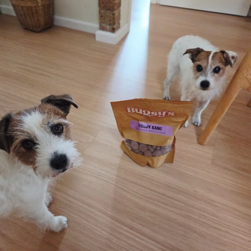 Customer photo review of Cordy Kang | Kangaroo & Cordyceps | Functional Dog Treat