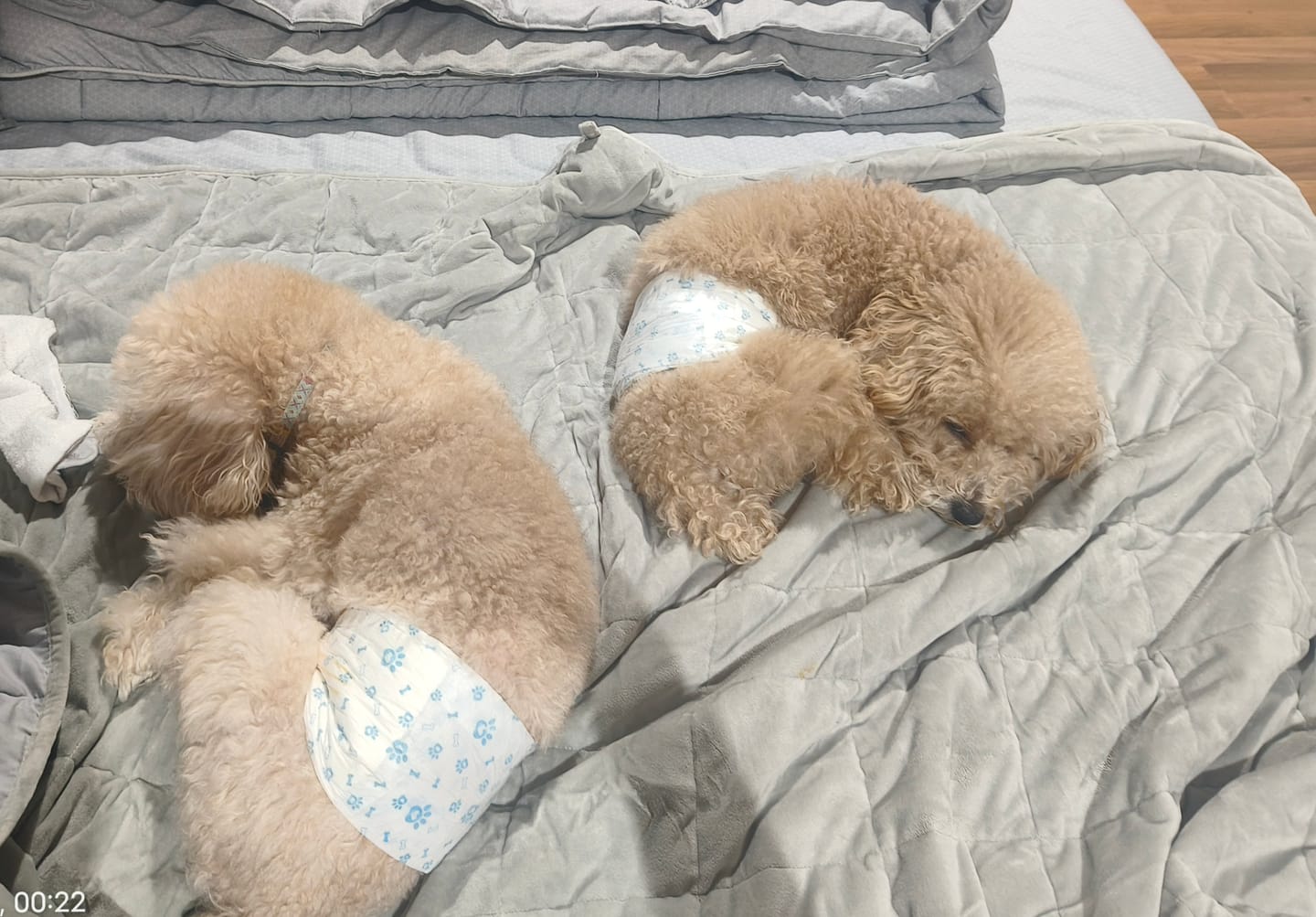 Customer photo review of Tidur Weighted Blankets