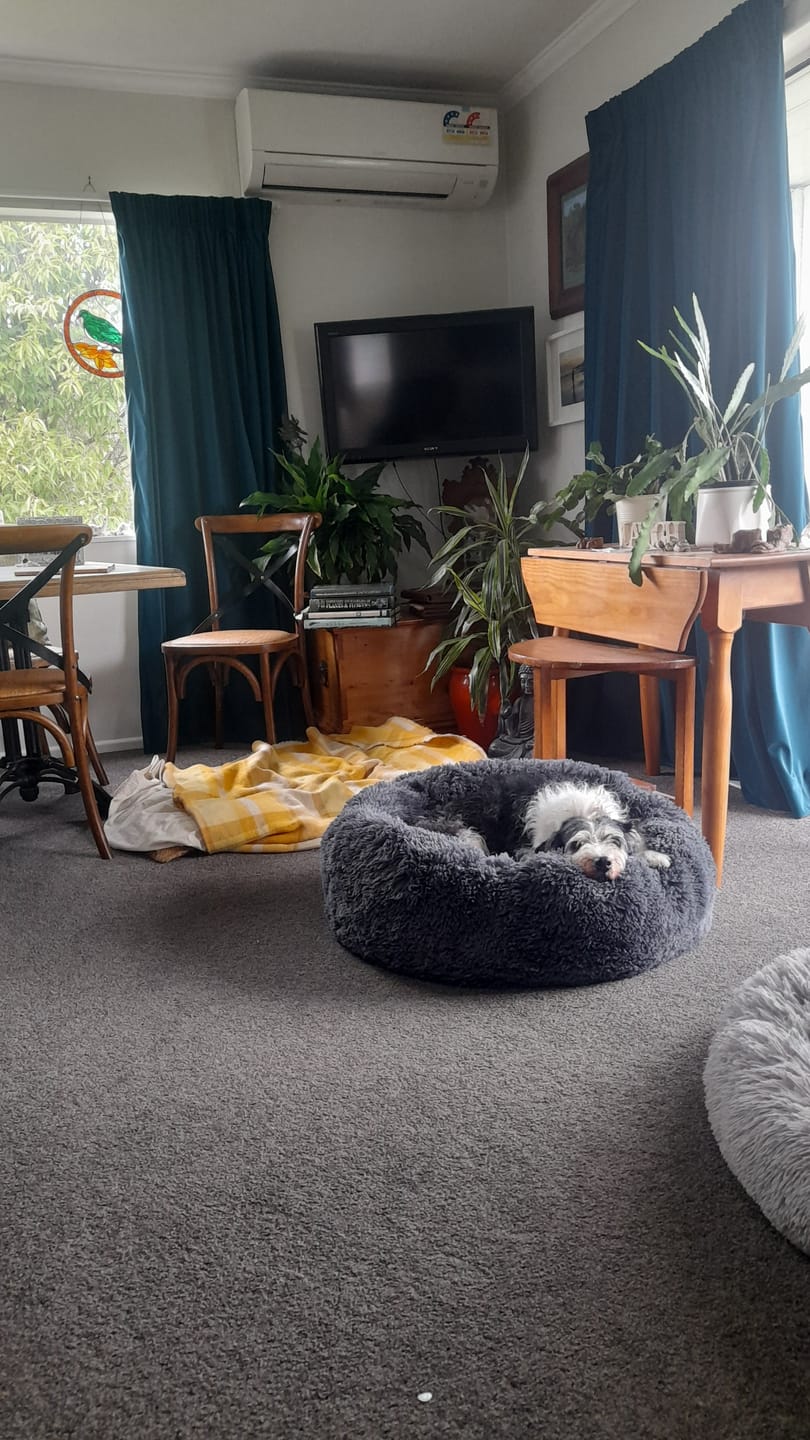 Customer photo review of Brooklyn® Deep Sleep Pet Bed