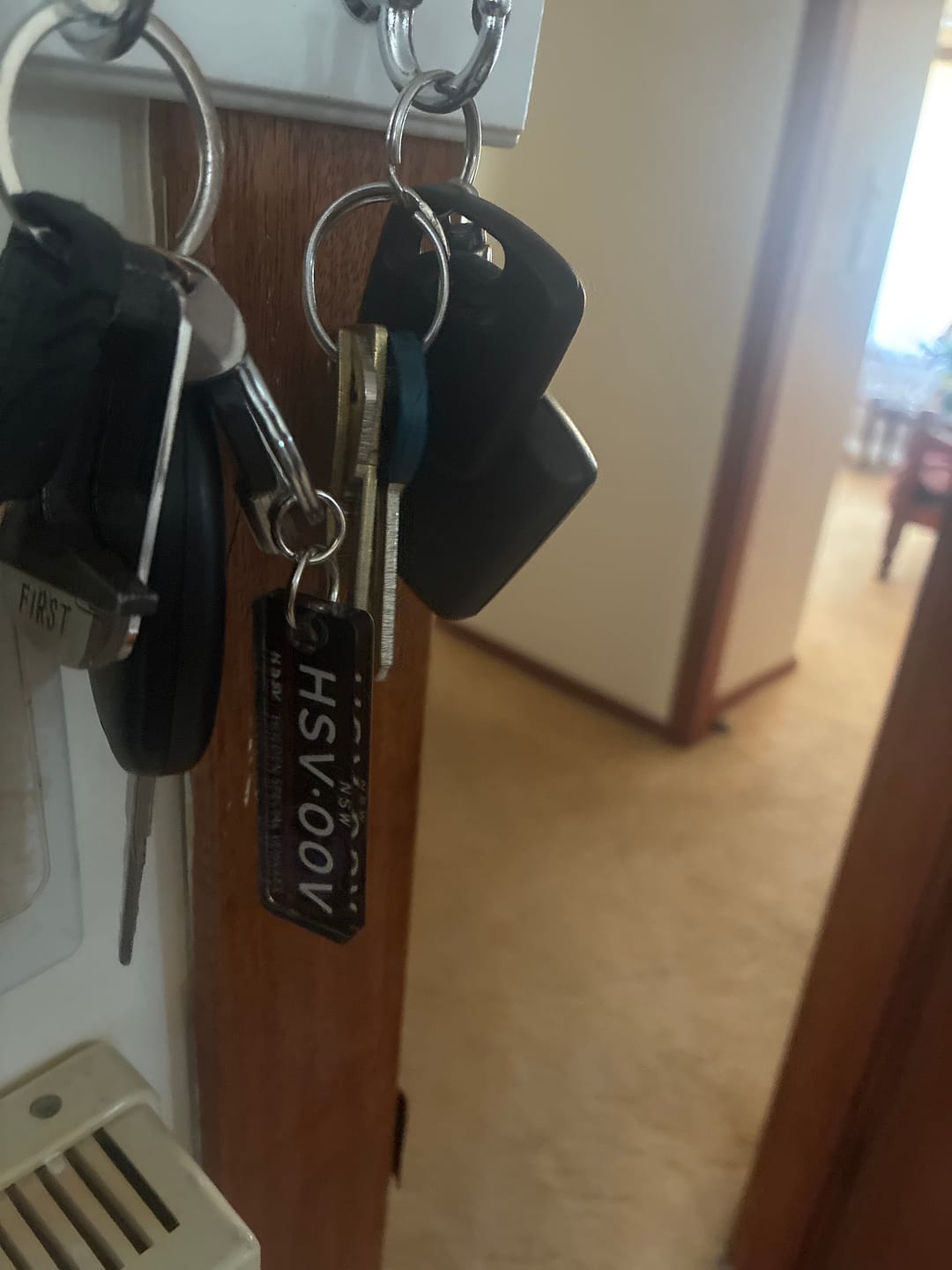 Customer photo review of NSW HSV Licence Plate Custom Keychain